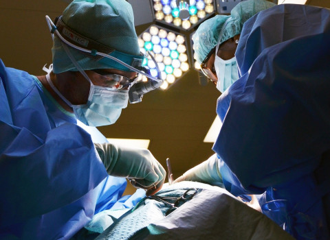 The future of neurosurgery in the robotic era